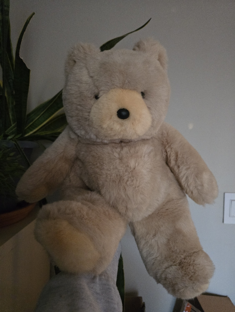 Ultra Rare Vintage Gund Collectors Classic Sir Winston Bear #2158